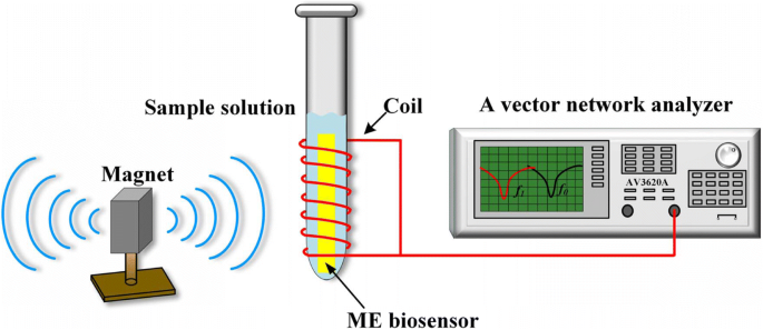 Wireless Magnetoelastic Nanobiosensor Achieves Ultra‑Sensitive Atrazine Detection