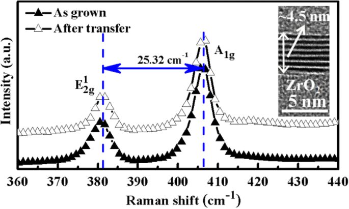 Energy Band Alignment in MoS₂/ZrO₂ Heterojunctions: Impact of CHF₃ Plasma Treatment