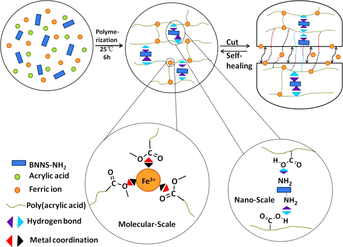 Poly(acrylic acid)/Boron Nitride Composite Hydrogels with Superior Mechanics and Rapid Self‑Healing via Hierarchical Physical Interactions