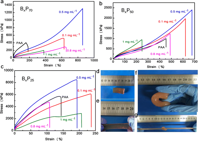 Poly(acrylic acid)/Boron Nitride Composite Hydrogels with Superior Mechanics and Rapid Self‑Healing via Hierarchical Physical Interactions