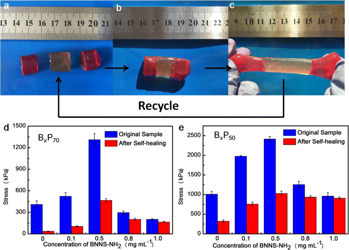 Poly(acrylic acid)/Boron Nitride Composite Hydrogels with Superior Mechanics and Rapid Self‑Healing via Hierarchical Physical Interactions