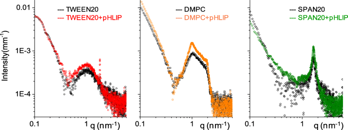 Targeted Cancer Delivery: Decorating Nanovesicles with pHLIP for Acidic Tumor Microenvironment Recognition
