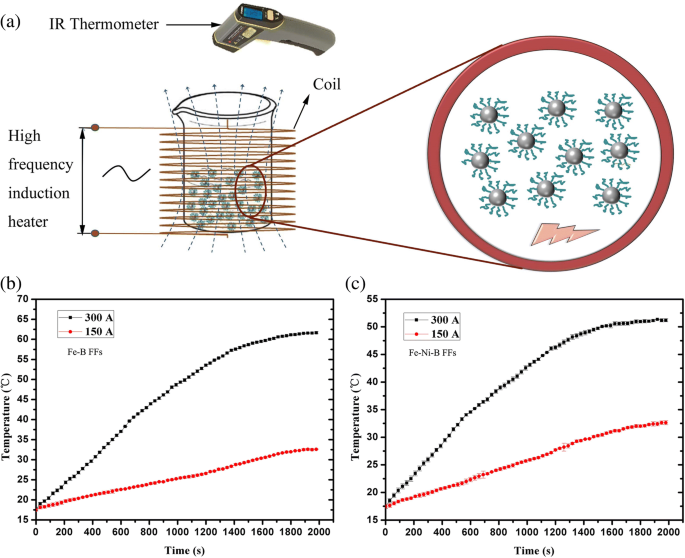 Amorphous Nanoparticle Ferrofluids: Magnetoviscous Behavior & Hyperthermia Performance