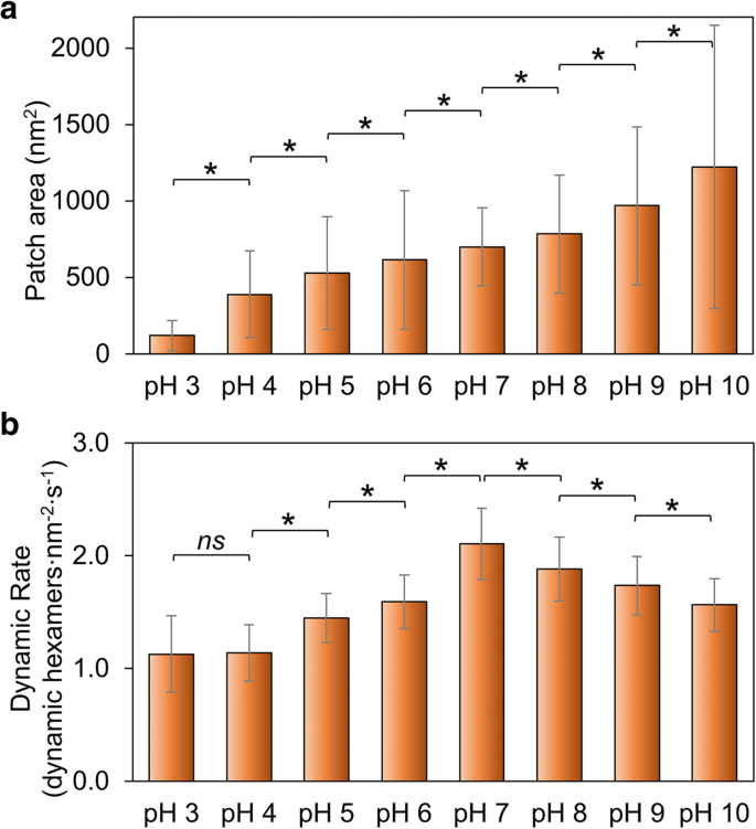 How pH and Salt Concentrations Shape the Self‑Assembly of Bacterial Microcompartment Shell Proteins