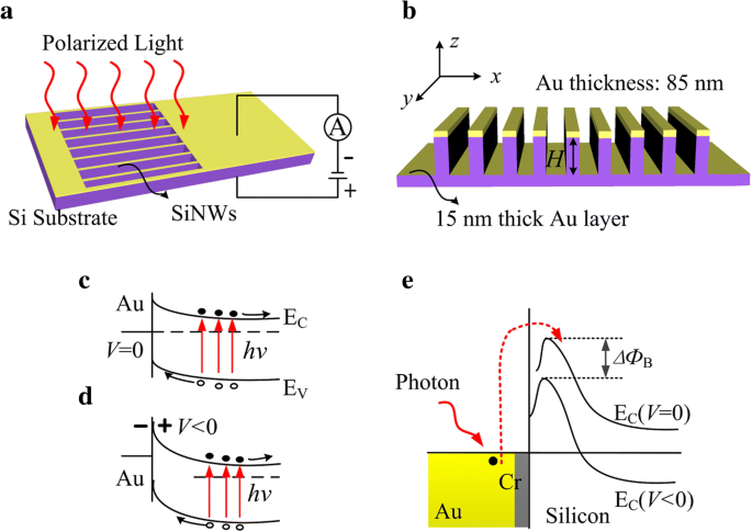 Silicon‑Based Photodetectors with Resonant Cavities for Near‑Infrared Polarimetric Sensing
