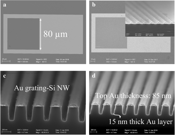 Silicon‑Based Photodetectors with Resonant Cavities for Near‑Infrared Polarimetric Sensing