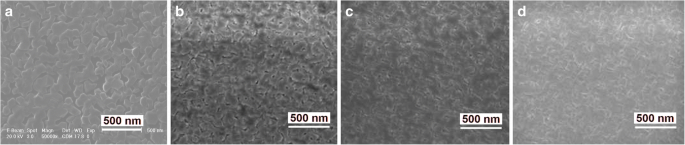 Quantifying Surface Temperature Rise from Nano- to Microscale Electron Beam Irradiation