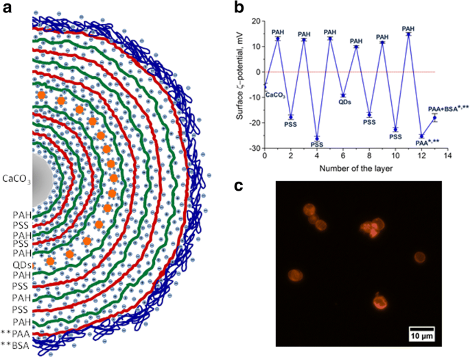 High‑Performance Polyelectrolyte Microcapsules Encoded with PEGylated Quantum Dots for Advanced Bioimaging