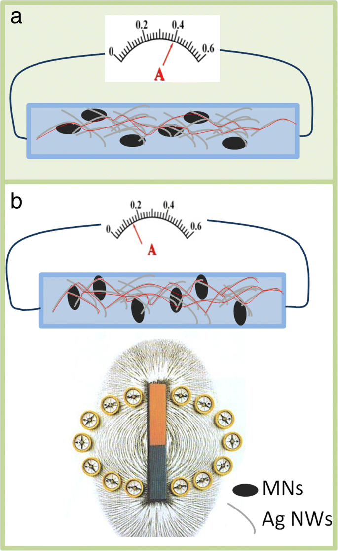 Advanced Flexible Magnetic Field Sensor Using Ag Nanowires and Magnetic Nanoparticle-Infused PDMS