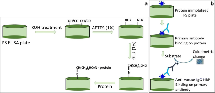 APTES‑GLU Surface Functionalization Boosts ELISA Sensitivity for HIV‑p24 Detection to 1 nM