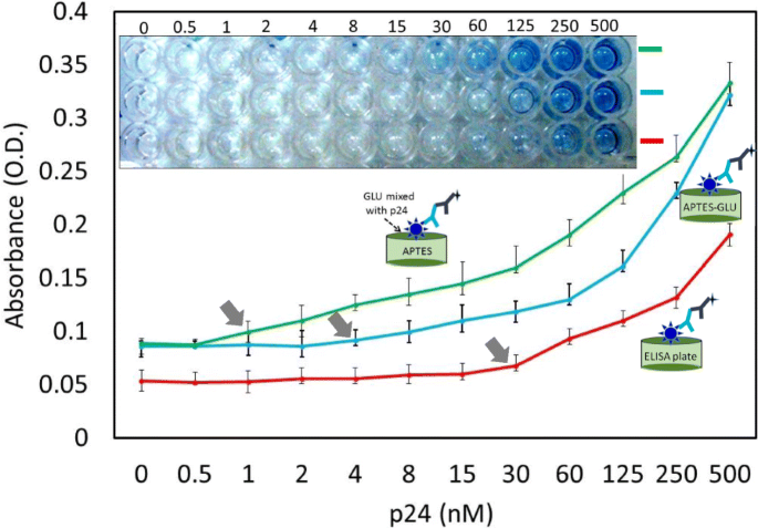 APTES‑GLU Surface Functionalization Boosts ELISA Sensitivity for HIV‑p24 Detection to 1 nM