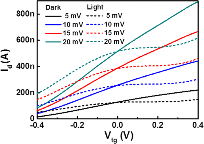 SnSe₂ Field‑Effect Transistor Achieves 10⁴ On/Off Ratio and Polarity‑Switchable Photoconductivity