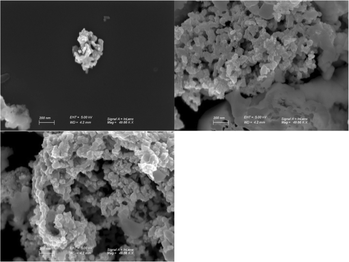 Lanthanum Strontium Manganite Nanoparticles: Airway Epithelial Cell Toxicity and Mucus Secretion Impact
