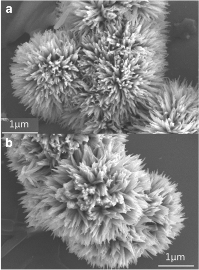 Sea Urchin‑Shaped NiCo₂O₄ via Charge‑Driven Self‑Assembly for Superior Li‑Ion Battery Performance