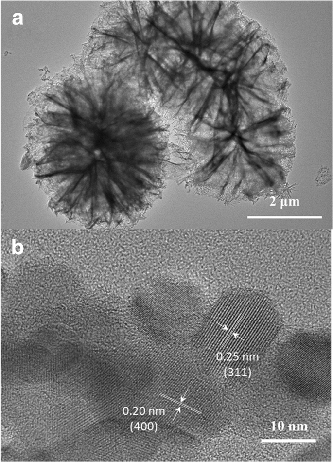 Sea Urchin‑Shaped NiCo₂O₄ via Charge‑Driven Self‑Assembly for Superior Li‑Ion Battery Performance