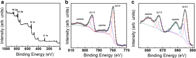 Sea Urchin‑Shaped NiCo₂O₄ via Charge‑Driven Self‑Assembly for Superior Li‑Ion Battery Performance