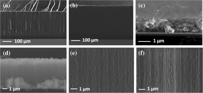 Optimizing Vertically Aligned Carbon Nanotube Growth: The Key Role of Oxide Buffer Layers in CVD