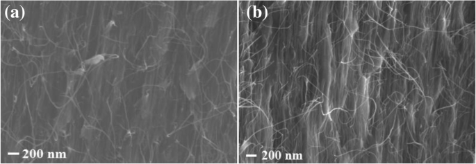 Optimizing Vertically Aligned Carbon Nanotube Growth: The Key Role of Oxide Buffer Layers in CVD