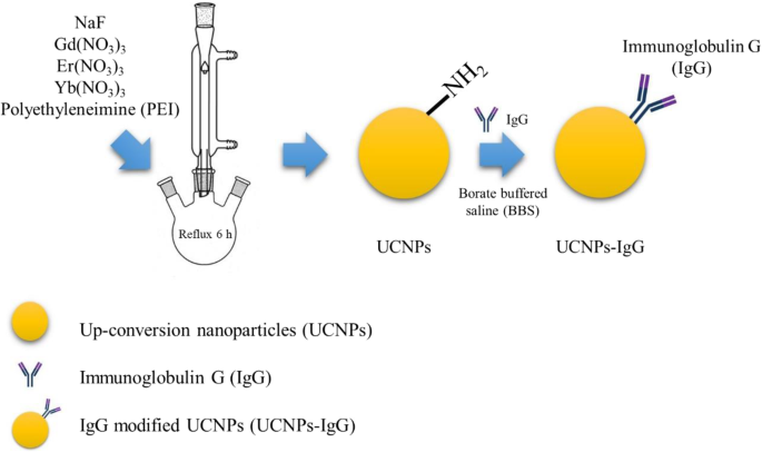 Laser‑Assisted MAPLE Deposition of Antibody‑Functionalized Upconversion Nanoparticles Enhances Cell Culture Performance
