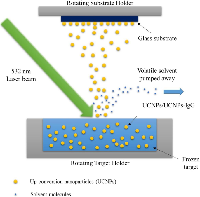 Laser‑Assisted MAPLE Deposition of Antibody‑Functionalized Upconversion Nanoparticles Enhances Cell Culture Performance