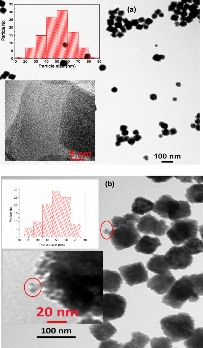 Laser‑Assisted MAPLE Deposition of Antibody‑Functionalized Upconversion Nanoparticles Enhances Cell Culture Performance