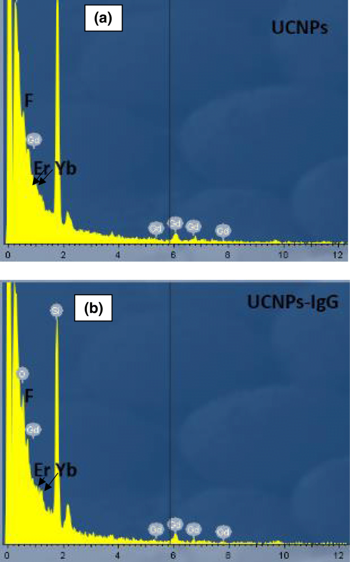 Laser‑Assisted MAPLE Deposition of Antibody‑Functionalized Upconversion Nanoparticles Enhances Cell Culture Performance