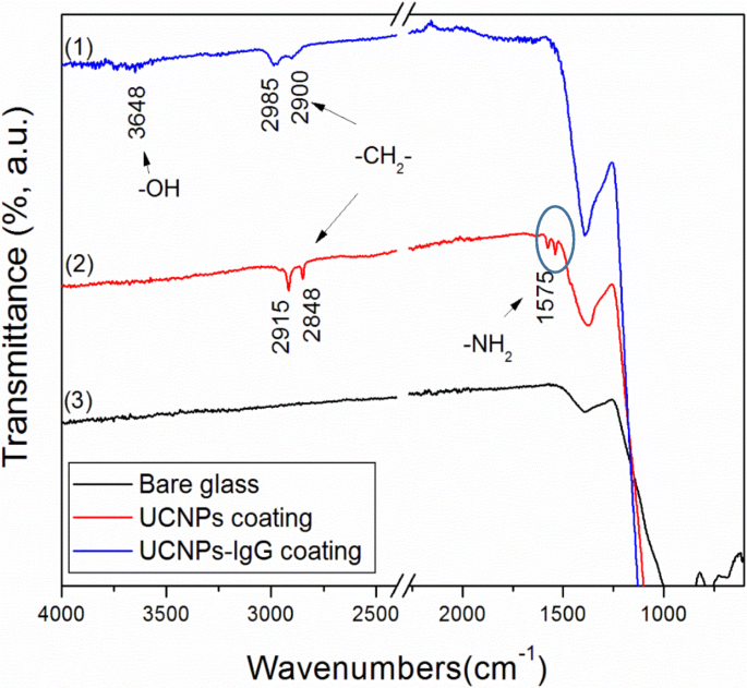 Laser‑Assisted MAPLE Deposition of Antibody‑Functionalized Upconversion Nanoparticles Enhances Cell Culture Performance