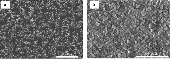 High-Performance Silicon Nanowire Heterojunction Solar Cells Using Al₂O₃ Passivation via Atomic Layer Deposition