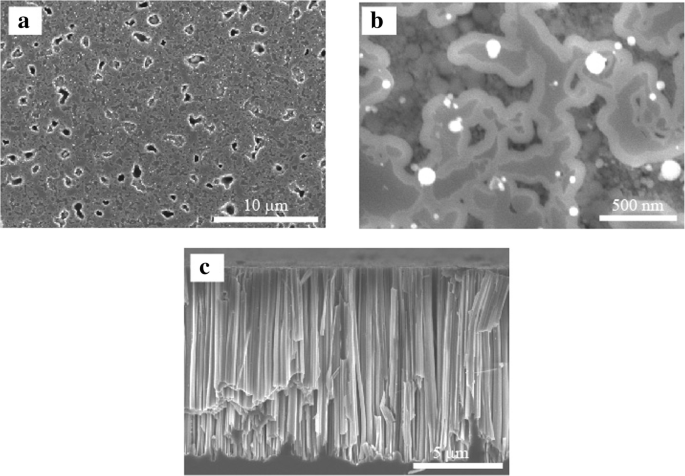 High-Performance Silicon Nanowire Heterojunction Solar Cells Using Al₂O₃ Passivation via Atomic Layer Deposition