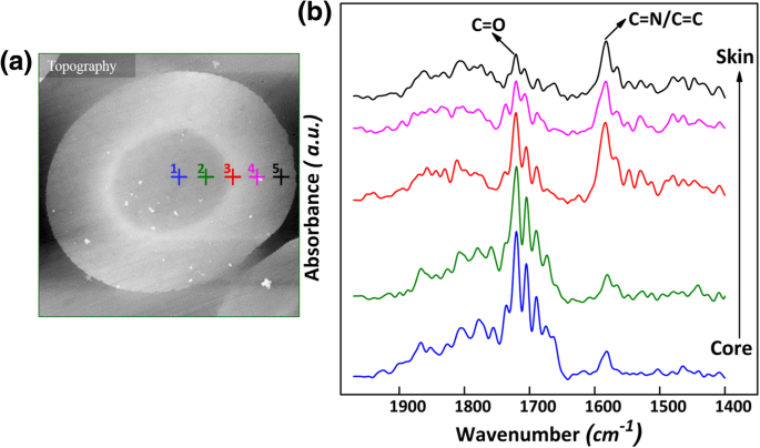 Decoding the Skin‑Core Chemical Architecture of Stabilized Polyacrylonitrile Fibers