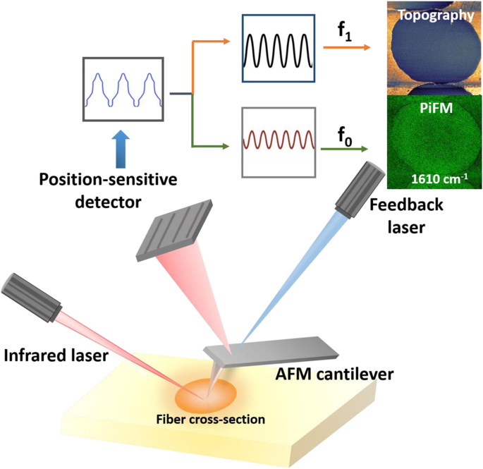 Decoding the Skin‑Core Chemical Architecture of Stabilized Polyacrylonitrile Fibers