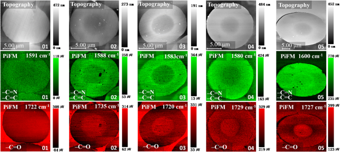 Decoding the Skin‑Core Chemical Architecture of Stabilized Polyacrylonitrile Fibers