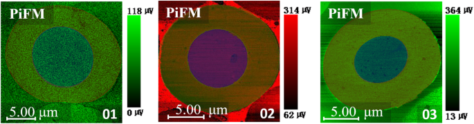 Decoding the Skin‑Core Chemical Architecture of Stabilized Polyacrylonitrile Fibers