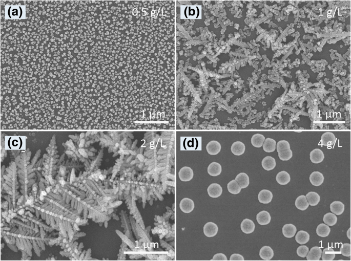 Large-Scale Dendritic Silver Nanostructures: Controlled Morphology for Enhanced Catalysis and SERS Performance