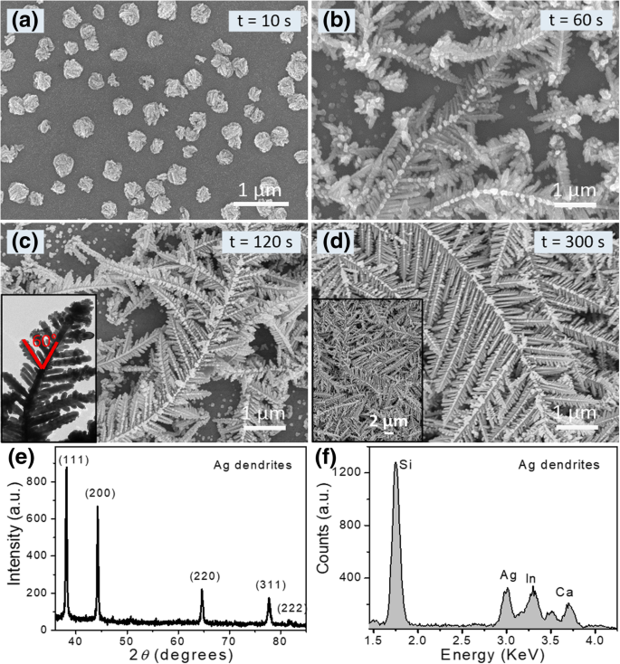 Large-Scale Dendritic Silver Nanostructures: Controlled Morphology for Enhanced Catalysis and SERS Performance