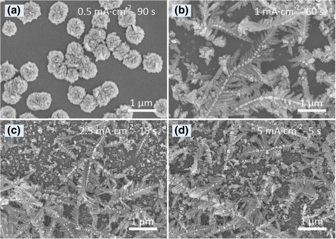 Large-Scale Dendritic Silver Nanostructures: Controlled Morphology for Enhanced Catalysis and SERS Performance