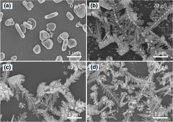 Large-Scale Dendritic Silver Nanostructures: Controlled Morphology for Enhanced Catalysis and SERS Performance