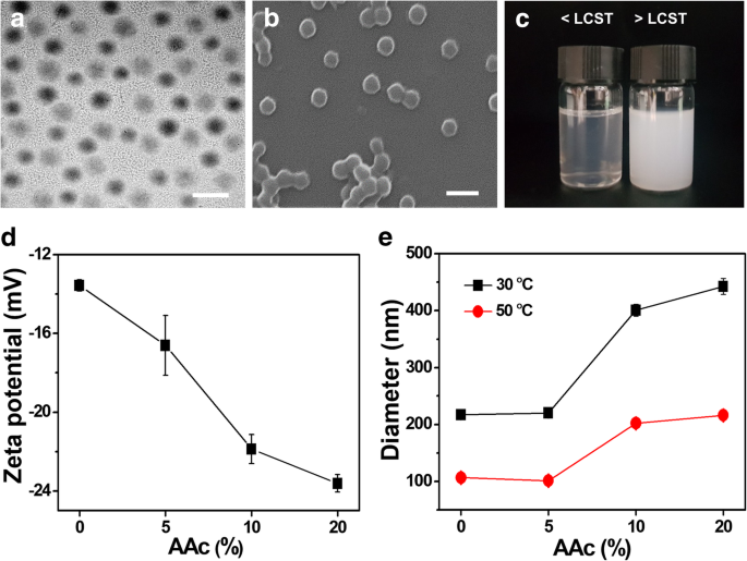 Temperature‑ and pH‑Responsive PNIPAM‑Based Nanogels for Dual‑Stimuli Controlled Delivery of β‑Lapachone