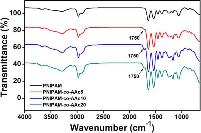 Temperature‑ and pH‑Responsive PNIPAM‑Based Nanogels for Dual‑Stimuli Controlled Delivery of β‑Lapachone