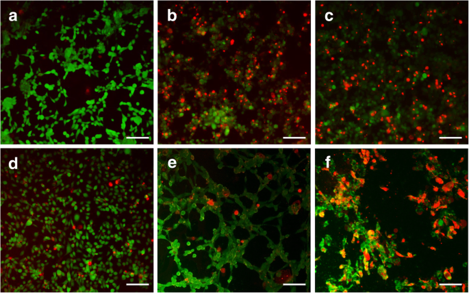 Temperature‑ and pH‑Responsive PNIPAM‑Based Nanogels for Dual‑Stimuli Controlled Delivery of β‑Lapachone