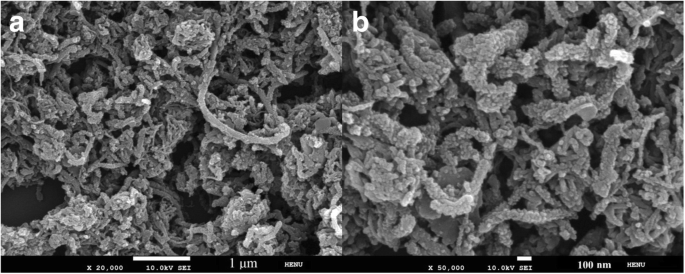 High‑Performance Quasi‑Solid‑State Asymmetric Supercapacitors Based on MoS₂/MWCNT and PANI/MWCNT Composite Electrodes