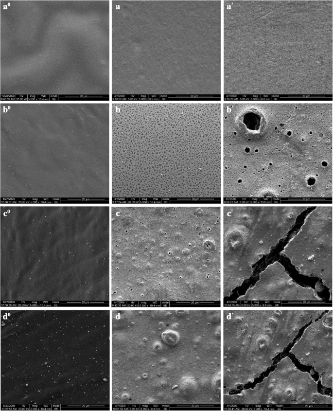 Biodegradation of PLA/TiO₂ Nanocomposites in Controlled Composting: Functionalized Titania Accelerates Degradation