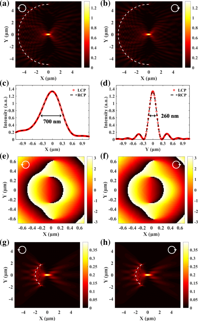 Spin-Independent Plasmonic Lens for Uniform Surface Plasmon Polariton Focusing
