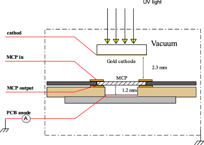 Al₂O₃‑Coated Microchannel Plates via Atomic Layer Deposition Deliver Five‑Fold Gain and Extended Lifetime