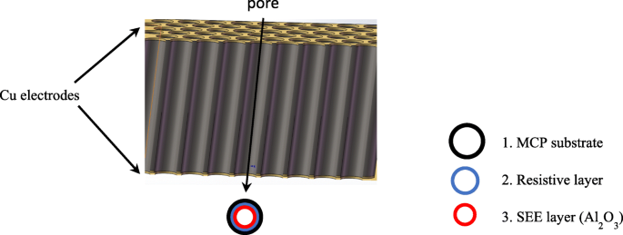 Al₂O₃‑Coated Microchannel Plates via Atomic Layer Deposition Deliver Five‑Fold Gain and Extended Lifetime