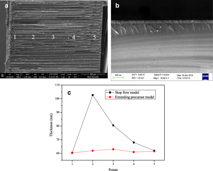 Al₂O₃‑Coated Microchannel Plates via Atomic Layer Deposition Deliver Five‑Fold Gain and Extended Lifetime