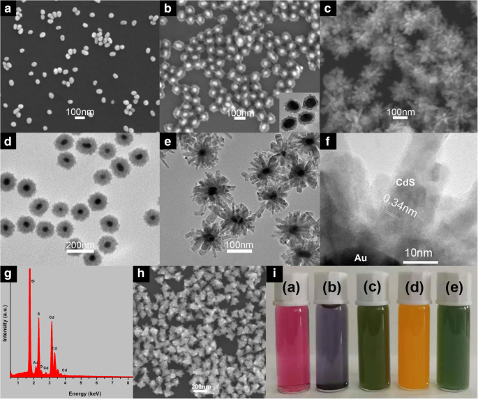 Hierarchical Au@CdS‑CdS Nanoflowers: Stepwise Fabrication and Superior Photocatalytic Performance