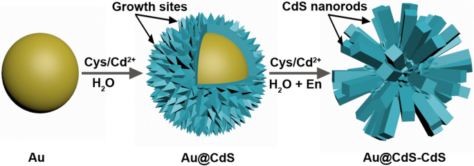Hierarchical Au@CdS‑CdS Nanoflowers: Stepwise Fabrication and Superior Photocatalytic Performance