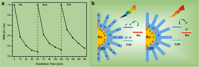 Hierarchical Au@CdS‑CdS Nanoflowers: Stepwise Fabrication and Superior Photocatalytic Performance
