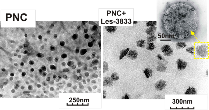 Water-Dispersed PEG-Polymer Complexes of 4‑Thiazolidinone Chemotherapeutics Enhance Pro‑Apoptotic Activity Against Rat Glioma C6 Cells